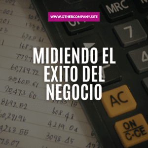 ¿Cómo medir si mi emprendimiento está teniendo éxito? (17)