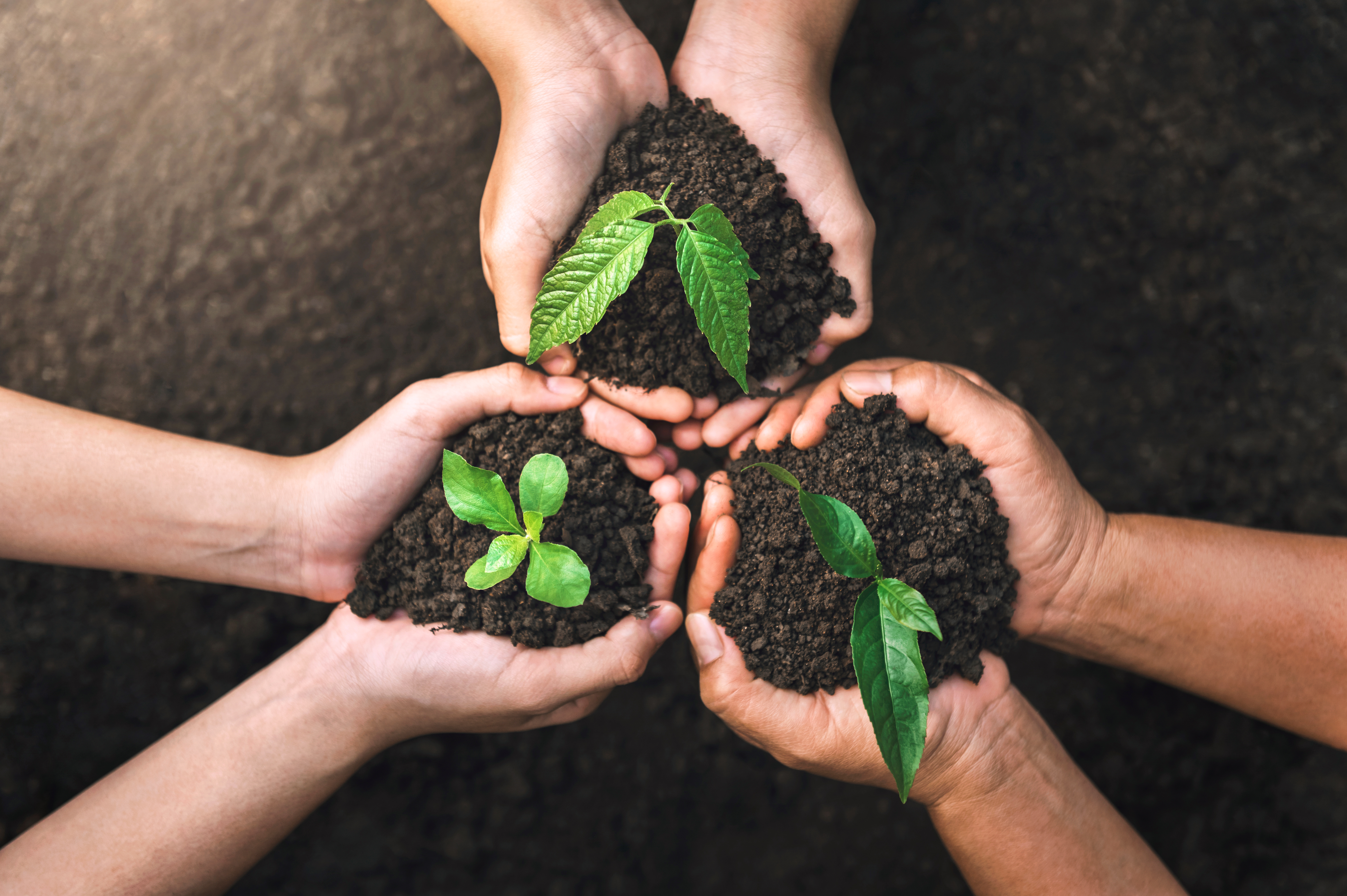 Inventarios sostenibles con predicción: eficiencia y respeto al medio ambiente. Optimiza recursos y reduce el impacto ambiental. #sostenibilidad #predicción